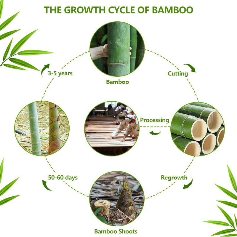 Why choose bamboo home products Why choose bamboo home products